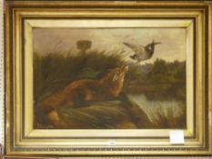 R COMINSON oil on canvas - fox chasing a mallard, 50 x 75 cms
