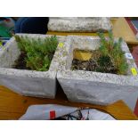 Pair of square stone garden planters