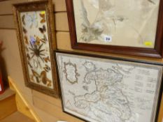 Framed Welsh language map of Wales, framed collage of insects and a framed silkwork bird and