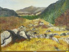 Unknown artist oil on board - Snowdonia, initialled 'A C F'