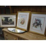 Three various gilt framed ornithological prints