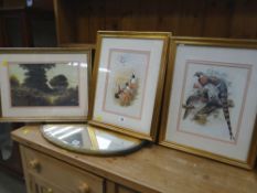 Three various gilt framed ornithological prints