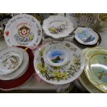 Collection of decorative wall plates including a 1974 Liverpool FC FA Cup Winners commemorative