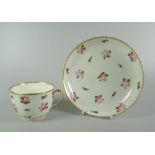 A SWANSEA PORCELAIN TEA CUP & SAUCER decorated with multiple single roses within dentil gilt rims