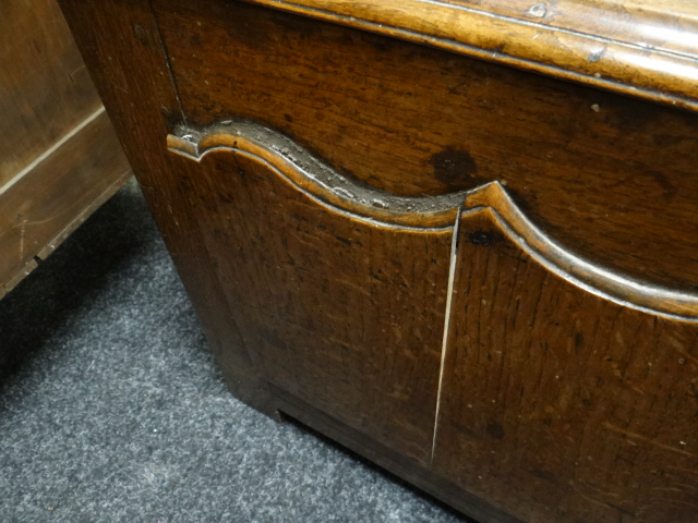 AN EIGHTEENTH CENTURY EIGHT DAY LONGCASE CLOCK BY JOHN OWEN OF LLANRWST, the brass face having - Image 8 of 21