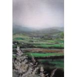 DARREN HUGHES oil on canvas layed to board - expansive Caernarfonshire landscape, signed & dated