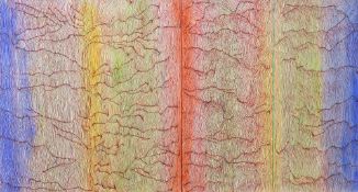 PETER JONES ink, watercolour & string, paper laid on board - abstract, entitled verso 'Morphic