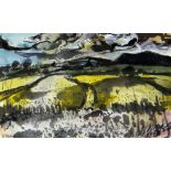 WILLIAM SELWYN mixed media - farmland with rooftop, entitled verso 'Hayfield I' on Tegfryn Gallery