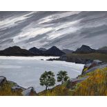 DAVID BARNES oil on board - coastal landscape, signed & entitled verso 'The Sutherland Hills', 40