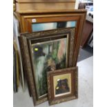 Parcel of various framed mainly oils on canvas including head of a collie