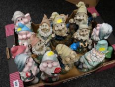 A boxed selection of garden gnomes