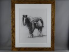 ALISON BRADLEY charcoal on paper - mare and foal, signed and with confirmation letter of