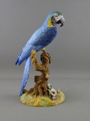 A ROYAL CROWN DERBY MODEL OF A MACAW, 26.5 cms high