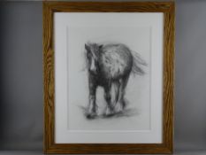 ALISON BRADLEY charcoal on paper - farm horse, signed and with confirmation letter of