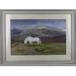 JANE MOULES JONES pastel - Welsh pony at Penlon, Newborough with Snowdonia in the background,