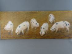 ALISON BRADLEY oil on canvas - study of six foraging 'Gloucester Old Spot' pigs, signed and with