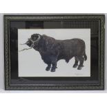 SIR KYFFIN WILLIAMS RA iconic and popular print - Welsh Black Bull from Chwaen Goch,