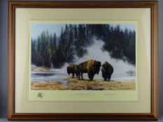DAVID SHEPHERD OBE framed limited edition (128/1500) print - titled 'The Hot Springs of