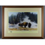 DAVID SHEPHERD OBE framed limited edition (128/1500) print - titled 'The Hot Springs of