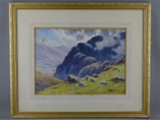 WARREN WILLIAMS ARCA early watercolour - mountainscape with sheep grazing, near Dwygyfylchi, signed,