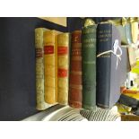 A collection of six illustrated nineteenth century volumes of Charles Dickens novels including