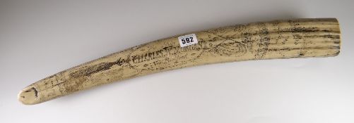 A Scrimshaw tusk relating to the ship Charles W Morgan