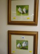 PATRICIA BUTT pleasing pair of watercolours - pairs of ducks