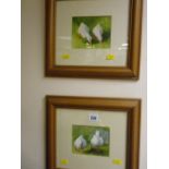PATRICIA BUTT pleasing pair of watercolours - pairs of ducks