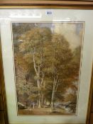 W R ROBINSON watercolour - tree lined river scene with figures and a dog on a path, titled 'The Rock