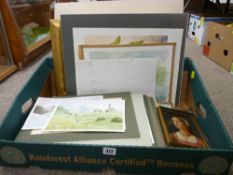 Box of predominantly unframed watercolours, signed N WIMBUSH etc