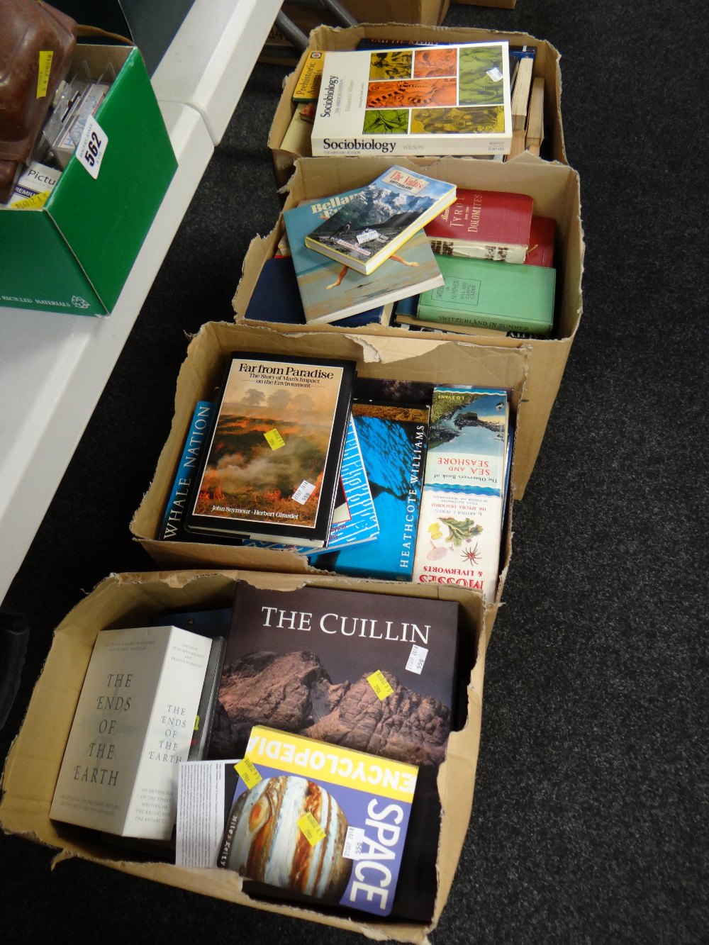 Four boxes of mainly reference books including Observer books & travel