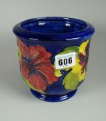 A good vintage Moorcroft Hibiscus decorated planter