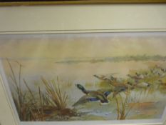 R E WRIGHT signed and stamped print - ducks in flight, 30 x 48 cms