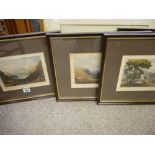 Series of four nicely presented antique engravings of mountainscapes