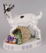 EARLY TWENTIETH CENTURY MEISSEN PORCELAIN STUDY OF A GOAT standing astride & over a turned basket of