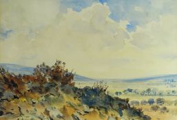 ADRIAN BURY watercolour - heath land landscape with trees, entitled verso 'Autumn Afternoon,