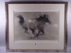 WILLIAM SELWYN coloured limited edition (307/500) print - a cantering wild horse, signed in full, 29