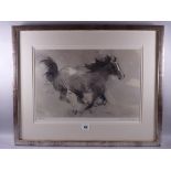 WILLIAM SELWYN coloured limited edition (307/500) print - a cantering wild horse, signed in full, 29