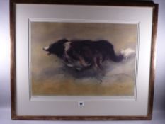 WILLIAM SELWYN coloured limited edition (187/500) print - study of a sheepdog in pursuit, signed