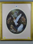 KIM THOMPSON limited edition (0592/5000) print - titled 'The Beauty of Owls', signed in pencil