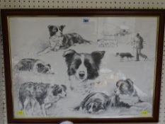 POLLYANNA PICKERING print - sheepdogs in various poses, 41 x 58 cms