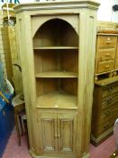 Pine antique effect corner display with cupboard door base