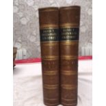 RHYS GWEIRYDD AP - Hanes y Brytaniaid a'r Cymry, 1872 & 1874. 2 vols. in brown half leather, black