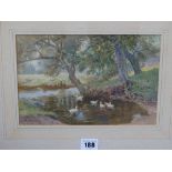 W NEVILLE DENBY watercolour - study of ducks on the river, 17 x 24 cms