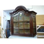 Small wall hanging display cabinet with glazed door and panels