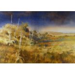 DAVID TRESS watercolour - landscape with distant sea and mist, signed and dated 1985, 51 x 72cms