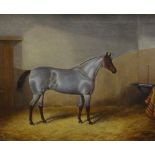 JAMES CLARK (1858-1909) oil on canvas - portrait of a silver-grey & chestnut gelding standing in a