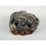 BELIEVED CHINESE CARVED BLACK & WHITE JADE STUDY OF A FROG ON LOTUS LEAF raised on hardwood base,