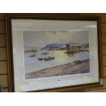 WARREN WILLIAMS ARCA limited edition (74/850) print - Conwy