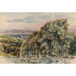 ESTHER GRAINGER (1912-1990) mixed media - landscape with trees, signed & dated 1963, 49.5 x 73cms